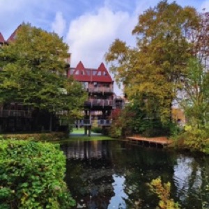 Découverte de Rotterdam, entre modernité et modernité ✌️. #rotterdam